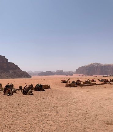 Lawrence-spring-wadi-rum